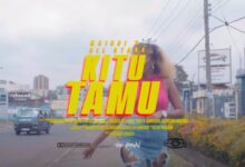 Photo of NaiBoi ft. Femi One | KITU TAMU [Download Video]