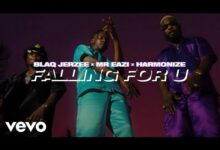 Photo of Blaq Jerzee ft Mr Eazi & Harmonize | Falling For U [ Download  Video]
