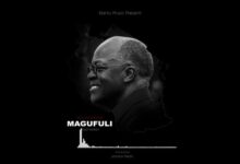 Photo of Nuh Mziwanda | Magufuli  [Download Audio]