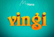 Photo of Mr Nana |Vingi  [Download Audio]