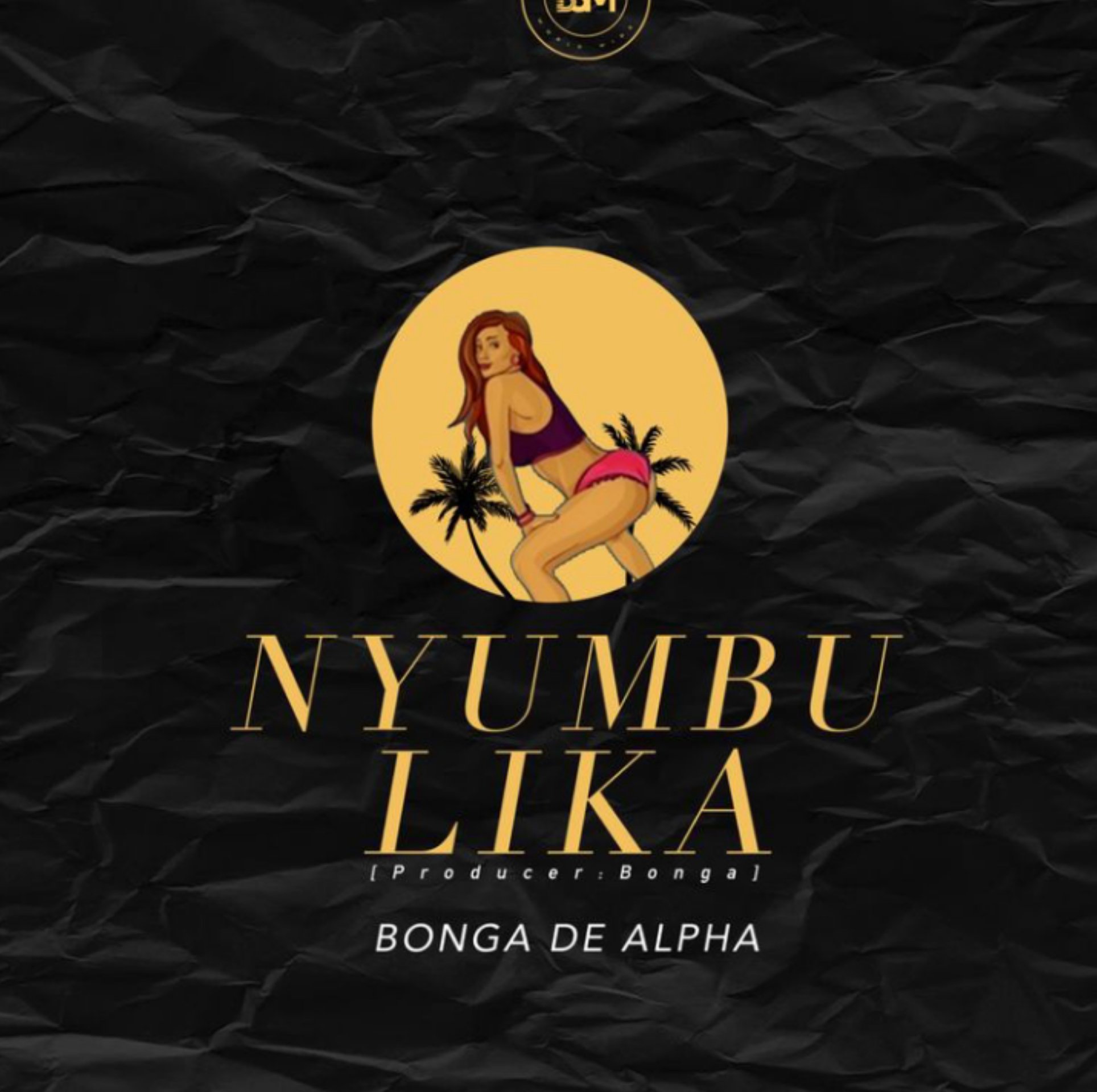 Photo of Bonga de alpha | nyumbulika [Download Audio]