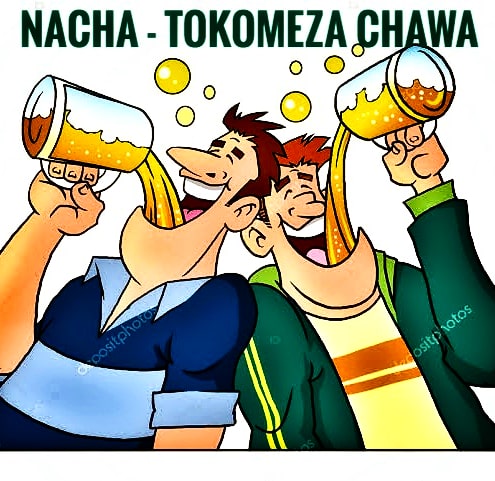 Photo of Nacha | Tokomeza Chawa [Download Audio]
