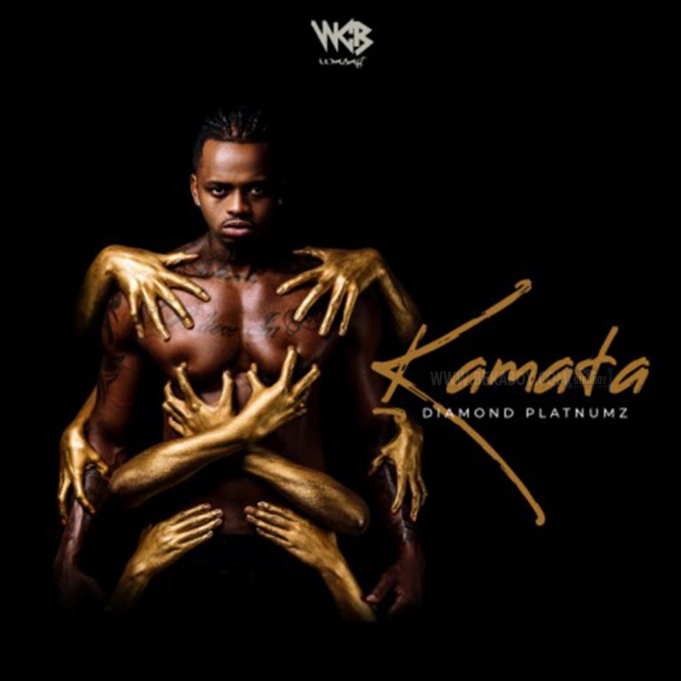 Photo of Diamond Platnumz | Kamata [Download Audio]
