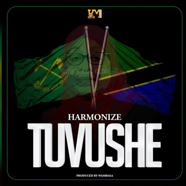 Photo of Harmonize | Tuvushe [Download Audio]