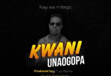 Photo of Nay Wamitego | Kwani Unaogopa  | AUDIO