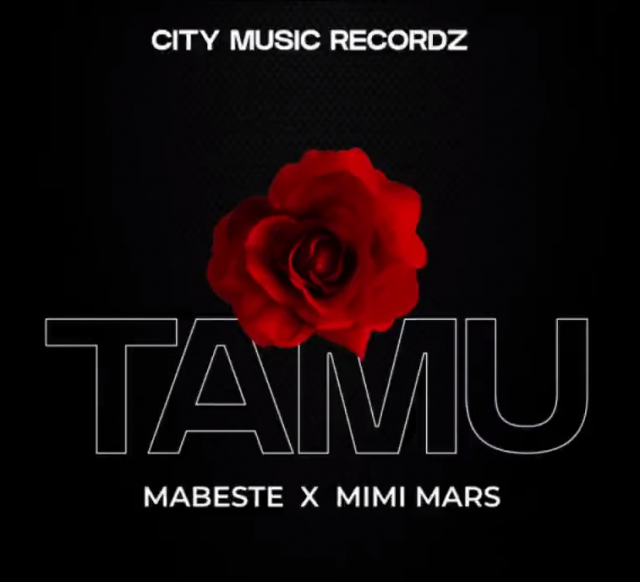 Photo of Mabeste Ft. Mimi Mars | Tamu [Download Audio]