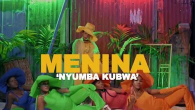 Photo of Menina | Nyumba Kubwa [Download Video]