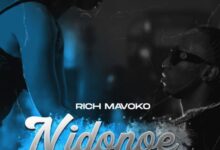 Photo of Rich Mavoko | Nidonoe  | AUDIO