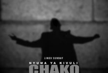 Photo of Linex Sunday | Nyuma ya Kivuli Chako | AUDIO