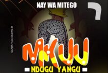 Photo of Nay Wa Mitego | Mkuu Ndugu Yangu | AUDIO