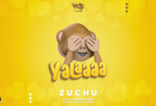 Photo of Zuchu | Yalaaaa | AUDIO