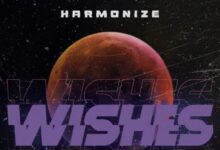 Photo of Harmonize | Wishes | AUDIO