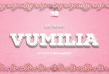 Photo of Rayvanny | Vumilia | AUDIO