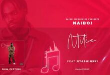 Photo of Naiboi Ft Nyashinski | Nitilie | AUDIO
