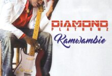 Photo of Diamond Platnumz | Kamwambie | AUDIO