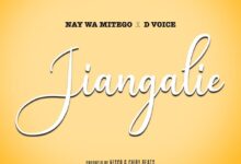 Photo of Nay Wa Mitego Ft D VOICE | Jiangalie | AUDIO