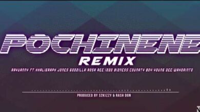 Photo of Rayvanny ft Khaligraph Jones, Godzilla, Rosa Ree, Izzo Bizness, Country Boy, Young dee | Pochi Nene Remix | AUDIO