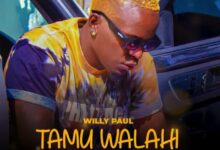 Photo of Willy Paul – Tamu Walahi | AUDIO