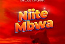 Photo of Shilole Ft Mchina Mweusi – Niite Mbwa | AUDIO