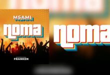 Photo of Msami – Noma | AUDIO