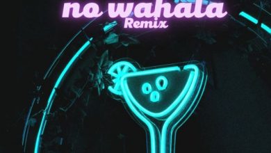Photo of 1da Banton Ft Kizz Daniel X Tiwa Savage – No Wahala Remix | AUDIO