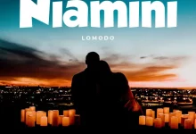 Photo of Lomodo – Niamini | AUDIO